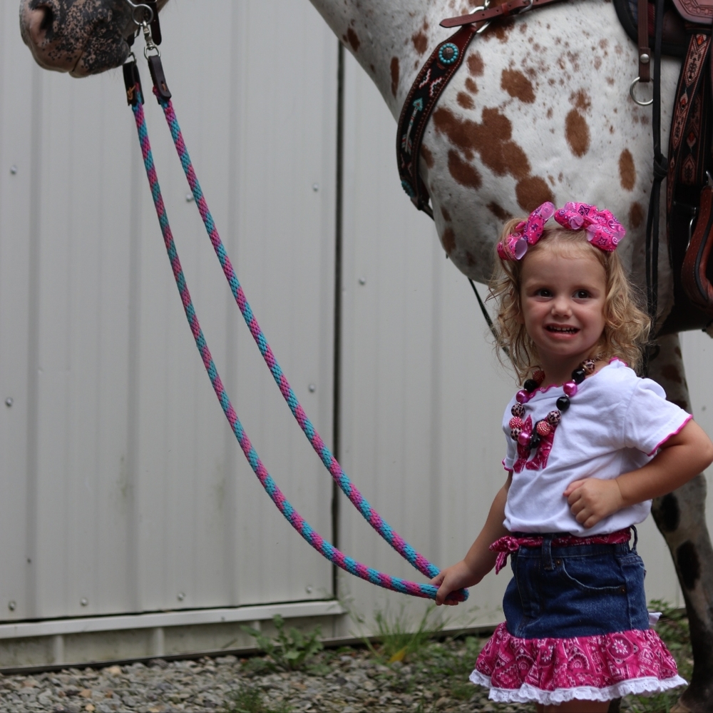 Pink wester outfit size 2 T